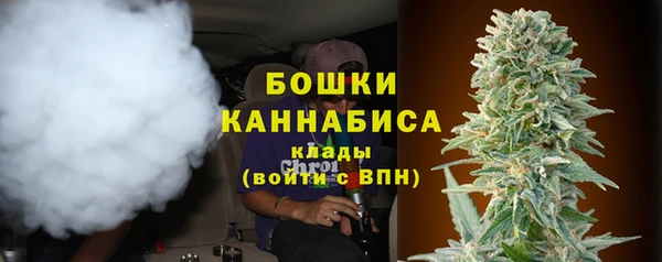 гидра Вяземский