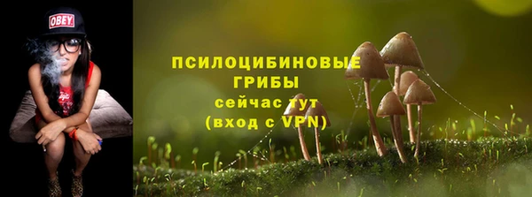 гидра Вяземский