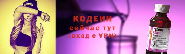 гидра Вяземский