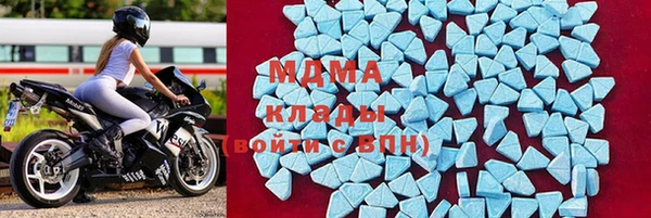 гидра Вяземский