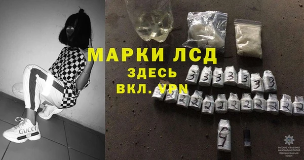 гидра Вяземский