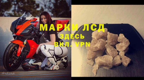 гидра Вяземский