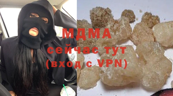 гидра Вяземский