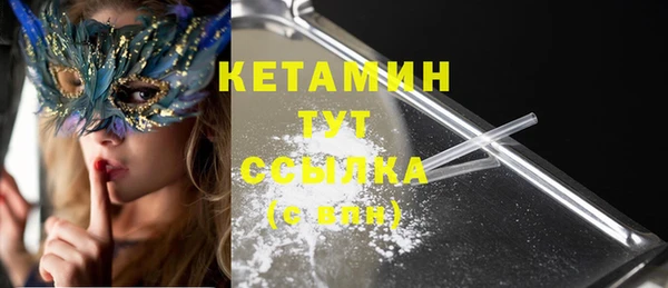 гидра Вяземский