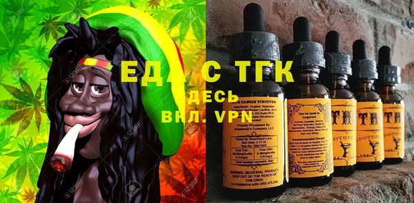 гидра Вяземский