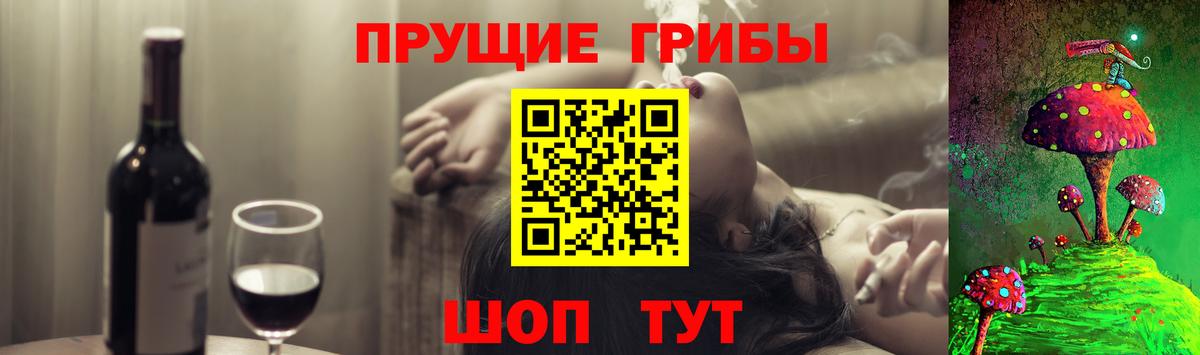 Новомосковск  Псилоцибиновые грибы прущие грибы  Вход с VPN 